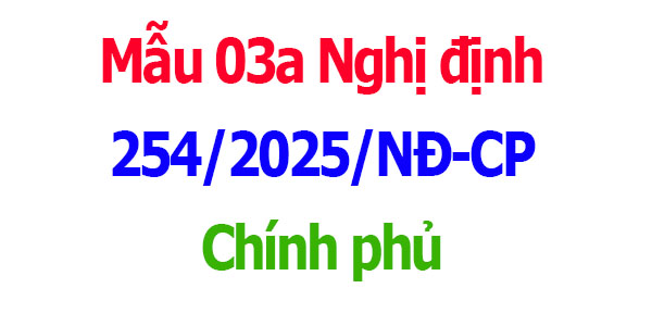 thanh toán mẫu 03a nghị định 254 chính phủ