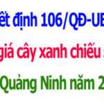 Đơn giá cây xanh chiếu sáng tỉnh Quảng Ninh năm 2026