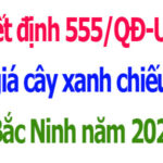 Đơn giá cây xanh chiếu sáng tỉnh Bắc Ninh năm 2026