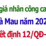 Đơn giá nhân công ca máy Cà Mau năm 2026
