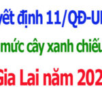 Định mức cây xanh chiếu sáng Gia Lai năm 2026 Quyết định 11/QĐ-UBND
