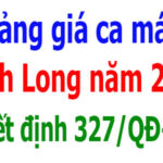 Bảng giá ca máy tỉnh Vĩnh Long năm 2026
