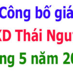công bố giá vlxd tỉnh thái nguyên tháng 5 năm 2026