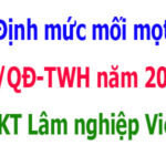 Quyết định 56/QĐ-TWH năm 2024 phòng trừ mối mọt