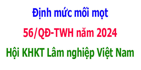Quyết định 56/QĐ-TWH năm 2024 phòng trừ mối mọt